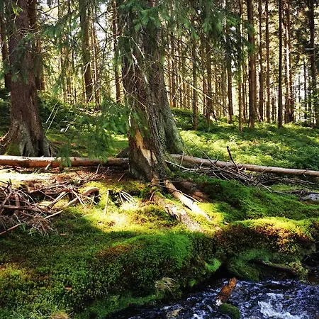 Chillout-aparts Lägenhet Świeradów-Zdrój