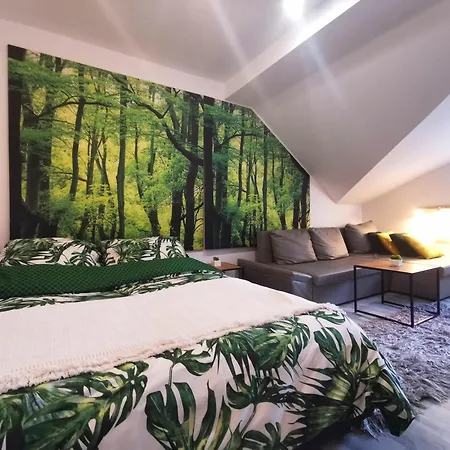 Chillout Apart Centrum Przy Tarasie Do Wiezy Widokowej Sky Walk Świeradów-Zdrój