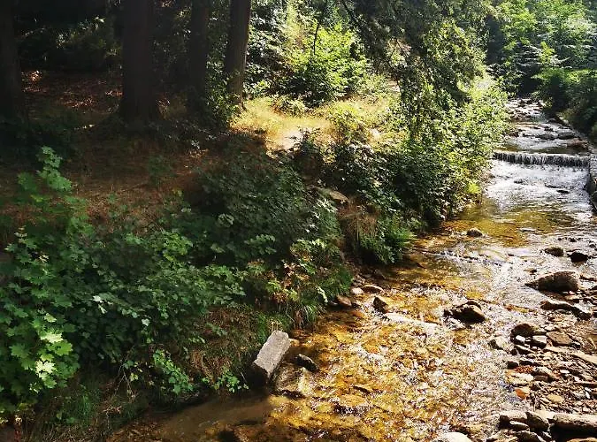 Apartament Chillout-aparts *