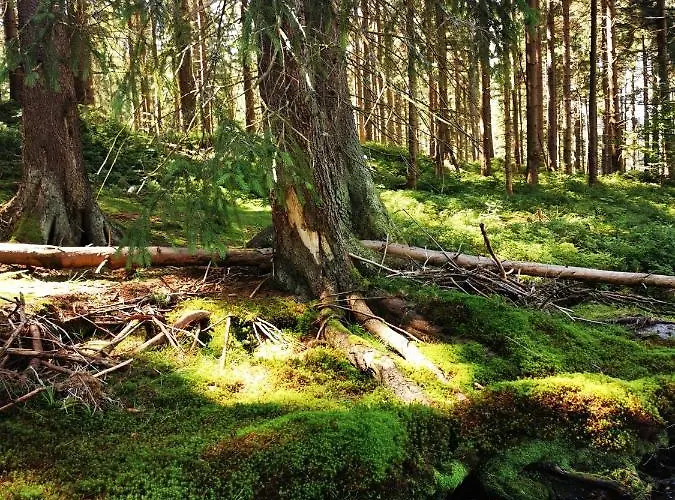 Chillout-aparts Apartament Świeradów-Zdrój